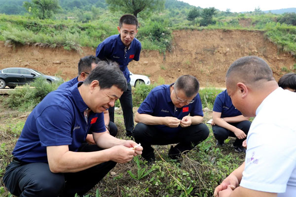 ר�����ƹ��˲鿴º���θ����ɳ����