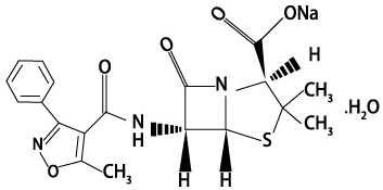 ע���ñ���������