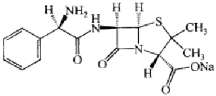 ע���ð���������