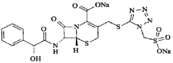 ע����ͷ��������