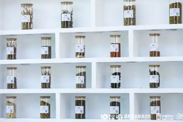 ��Ӯ������ҩ��