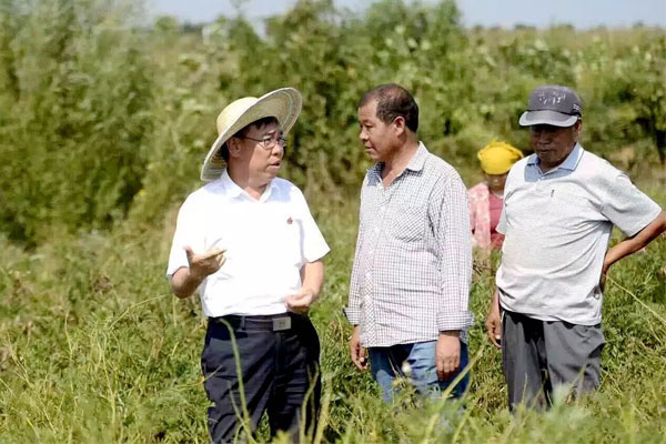 ��Ӯ���ޡ�bwin(�й���)�ٷ���վ