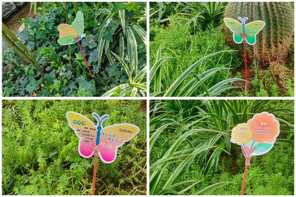 ±ØÓ®ÑÇÖÞ¸÷Àà״̬µÄ»¨²ÝÔðÈÎÅÆ ±ØÓ®ÑÇÖÞ¸÷Àà״̬µÄ»¨²ÝÔðÈÎÅÆ