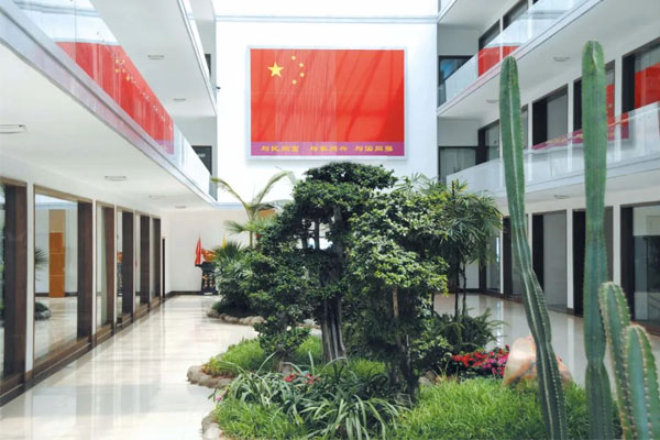 ��Ӯ�����ܲ�����һ��޷�����