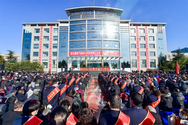 ��Ӯ����,������