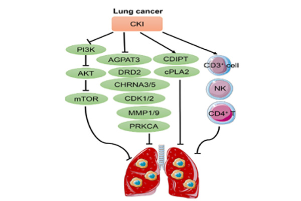 �������ע��Һҽ�ηΰ�