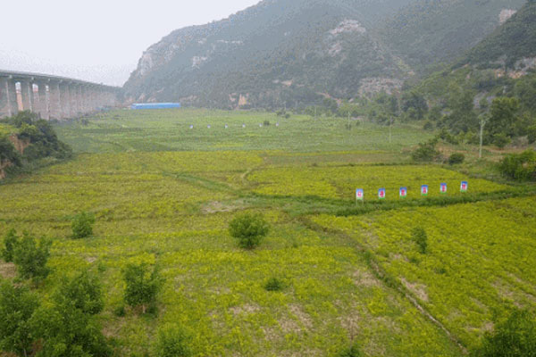 ��Ӯ����,��Ӯ����·��ҩ��