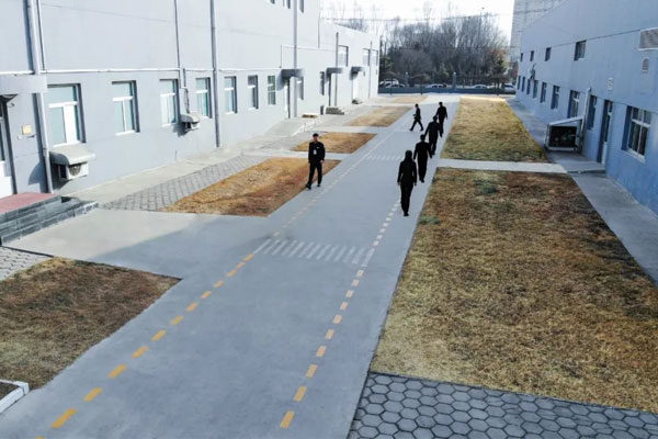 ��Ӯ������ҩ���������ߣ����˳��������˳���