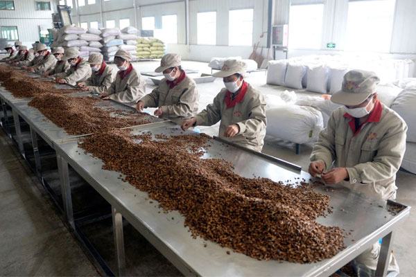 ��Ӯ������ҩ��