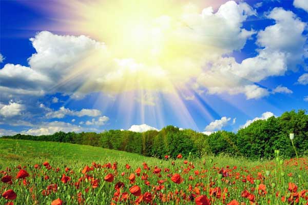 ��Ӯ���ޡ�bwin(�й���)�ٷ���վ