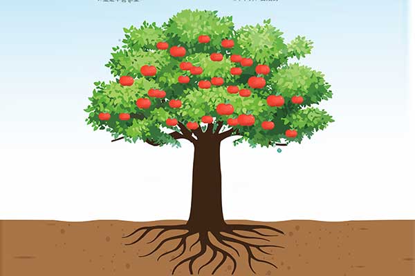 ��Ӯ���ޡ�bwin(�й���)�ٷ���վ