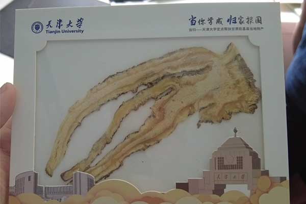 ��Ӯ���ޡ�bwin(�й���)�ٷ���վ