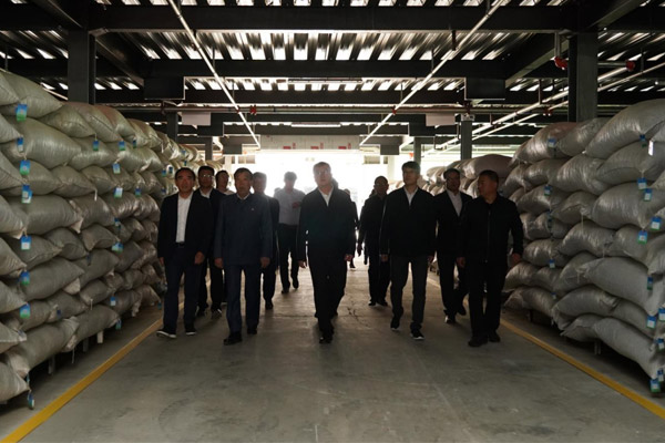 �ι۱�Ӯ������ҩ�Ĳִ�����