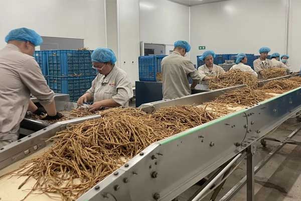 ��Ӯ���ޡ�bwin(�й���)�ٷ���վ