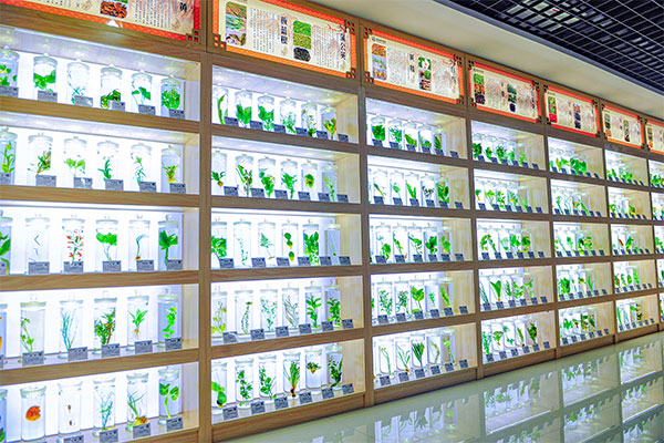 ��Ӯ���޿Ƽ�������ҩ�걾