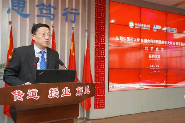 ����ΰ�´�