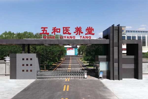 ±ØÓ®ÑÇÖÞÎåºÍÒ½ÑøÌà ±ØÓ®ÑÇÖÞÎåºÍÒ½ÑøÌÃ