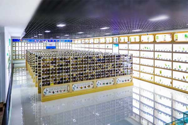 ±ØÓ®ÑÇÖ޿Ƽ¼ÖÐÐÄÖвÝÒ©±ê±¾¹Ý ±ØÓ®ÑÇÖ޿Ƽ¼ÖÐÐÄÖвÝÒ©±ê±¾¹Ý