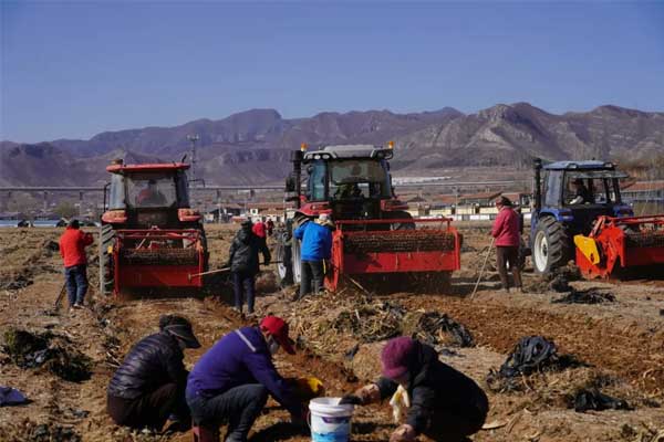 ҩʳͬԴ,ÎåºÍÒ½ÑøÌÃ,ÎåºÍ ҩʳͬԴ,ÎåºÍÒ½ÑøÌÃ,ÎåºÍ