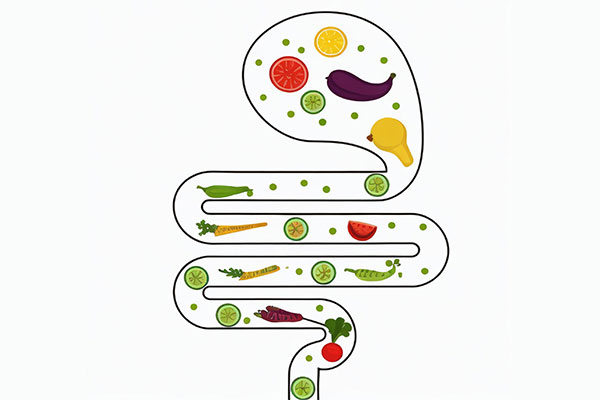 ��Ӯ���ޡ�bwin(�й���)�ٷ���վ