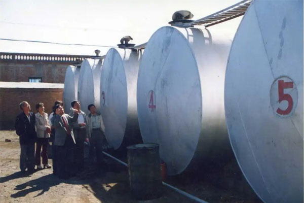 ��Ӯ����,�Ϳ�