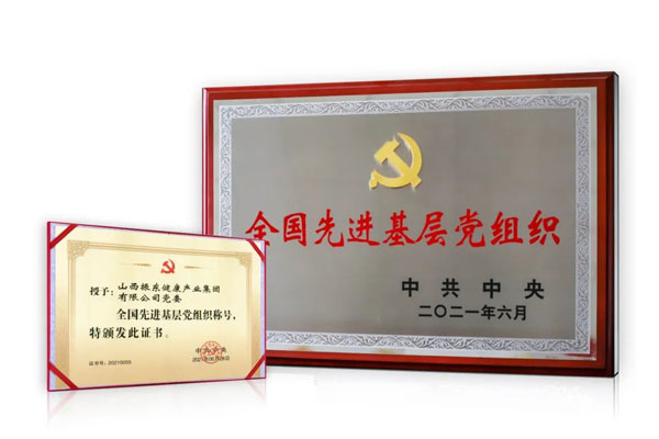 必赢亚洲,全国先进基层党组织 必赢亚洲,全国先进基层党组织