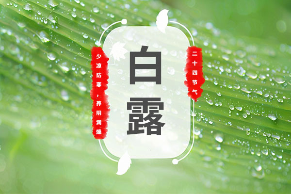 ��Ӯ���ޡ�bwin(�й���)�ٷ���վ