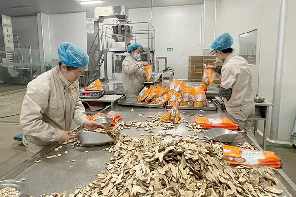 ��Ӯ����,��ҩ��Ƭ,��ҩ��