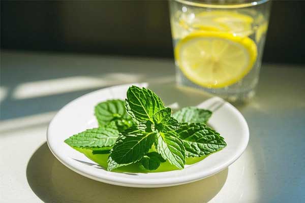 ��Ӯ���ޡ�bwin(�й���)�ٷ���վ