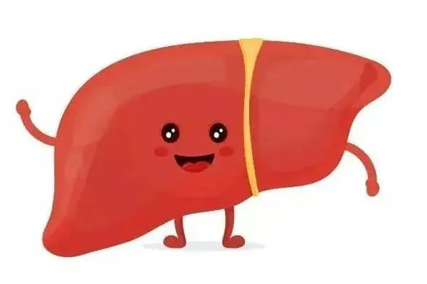 春季养肝,肝脏健全,养肝步骤 春季养肝,肝脏健全,养肝步骤