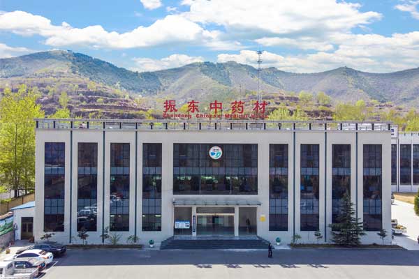 2025��ҩ�¹�,��ҩԴͷ�ܿ�,��Ӯ������ҩ��ʵ��,��ҩ��ҵת��,GAP��֤