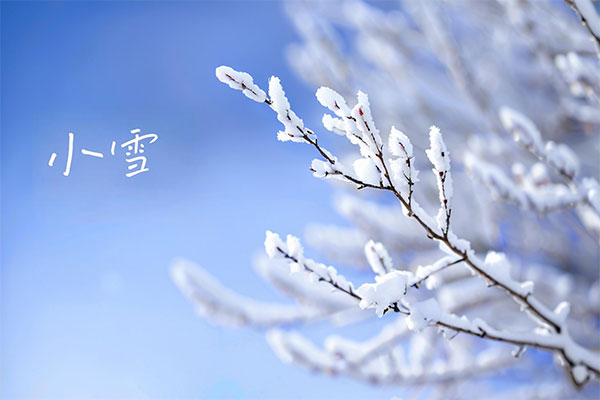 ��Ӯ���ޡ�bwin(�й���)�ٷ���վ